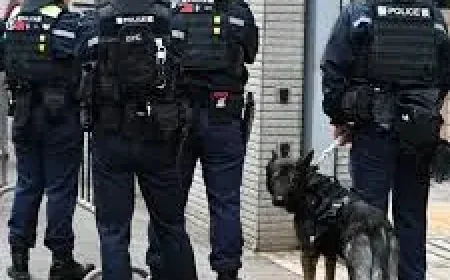 Passwords and the New Hong Kong Security Rule: A Power Meant for “Protection” That Raises a Silence Test