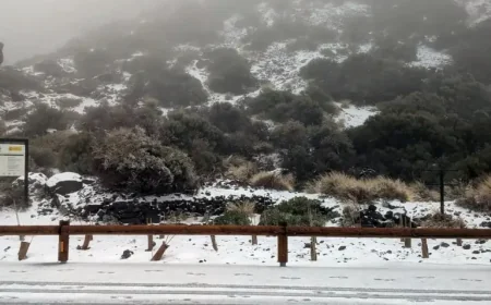 Tenerife Canary Islands Weather: State of Emergency Declared as 75mph Storm Forces Closures and Shelters