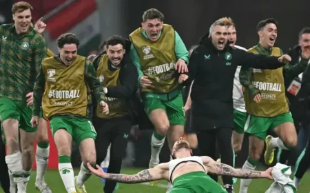 World Cup Qualifiers: As Play-off Semi-finals Arrive, Republic of Ireland Two Wins Away