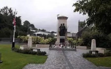 Anger over zero fines being issued due to dog fouling at Larne war memorial and cemetery