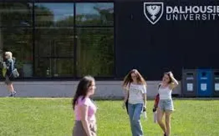 International Students program ‘fell short’ — auditor general reveals thousands of uninvestigated flags