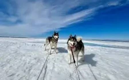 Good Morning, Sault Ste. Marie — Today’s Weather Update