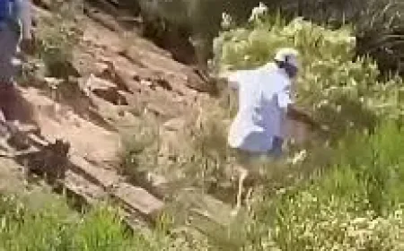 John Daly Falls Down Hill: The viral ‘Jackass’ moment that tested golf’s safety margins