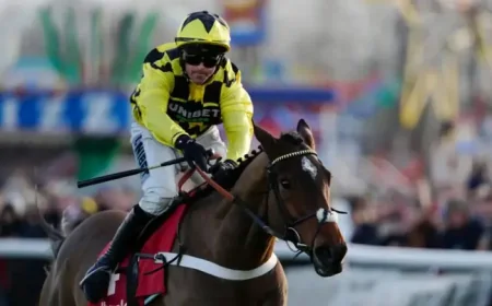 Sir Gino: Trainer Nicky Henderson Announces Star Hurdler Put Down in Heartbreaking Loss