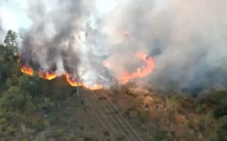 Gulf Shores Fire: 3 Closures, Evacuations, and a Key Test of Local Response