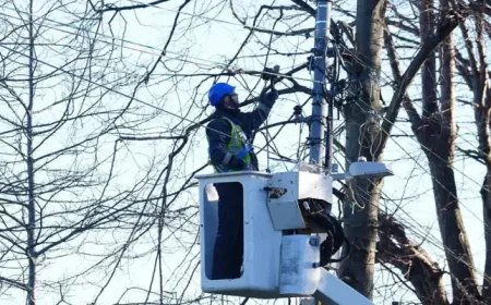 Esb profits down by 10% after Storm Éowyn: a rural repair story