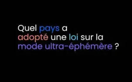 La Facture: What France’s Move on Ultra-Fast Fashion Means for Shoppers and Sellers