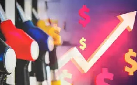 $40 Fuel Cap: Chalmers Says Treasury Models ‘Pretty Conservative Now’ as National Cabinet Prepares to Meet