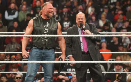 Brock Lesnar Dismisses Importance of WWE Achievements