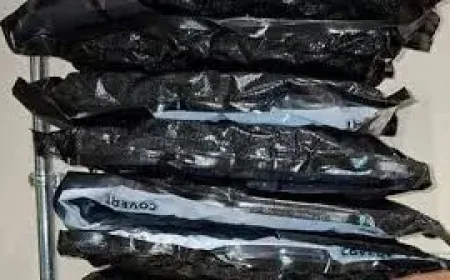 Seafra O’donovan charged after €110,000 cannabis seizure — internal mail system under scrutiny