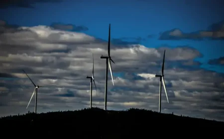 Boralex privatization deal reveals clash between growth ambitions and shareholder scrutiny