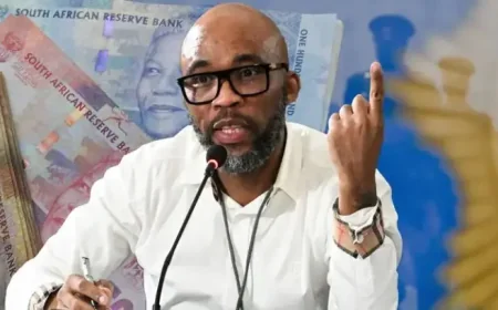 South Africa: Police Boss Fannie Masemola to Face Court as 12 Officers Arrested Over ‘Cat’ Matlala Contract