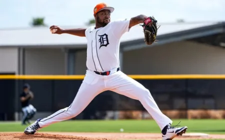 Tigers Assign Dylan Smith a Designation