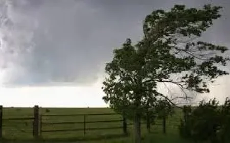 Project 23550 Patrol Ship strike reveals Arctic fleet’s blind spot