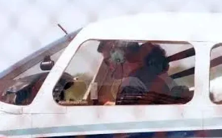 Jfk Jr.’s Final Choice to Fly ‘Alone’ and the Unraveling Marriage Friends Describe