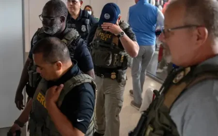 Why Is Tsa Not Getting Paid: ICE Shows Up at Airports as Unpaid Workers Call Out