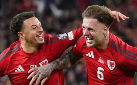 Wales Vs Bosnia And Herzegovina: Under the Cardiff Lights, a Team Tries to Make History