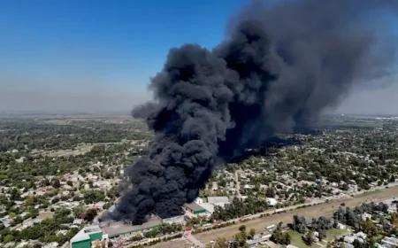 Francisco Alvarez fire: smoke seen for 30 kilometers as officials say flames are under control