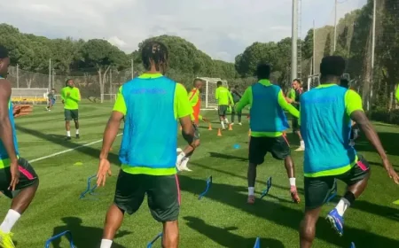 Friendlies: Super Eagles Camp Complete as Ndidi Arrives, Bassey Ruled Out — What It Means for Friday’s Match