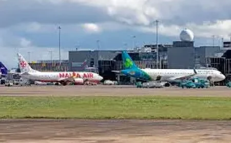 Brazil: Eight arrested after brutal capybara beating exposes the city’s fraught relationship with urban wildlife