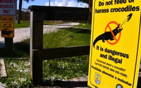 Clavicular Arrested Rumors Collide With a Florida Investigation Into an Everglades Livestream