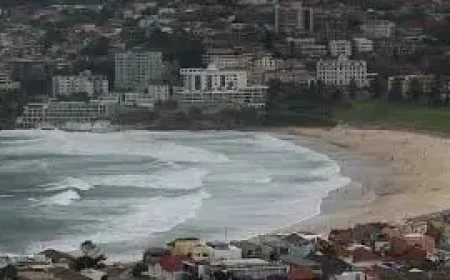 Endeavour Energy: 6 Stark Facts as Wild Autumn Weather Forces Ferry Cancellations and Blackouts