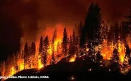 What Is A Fire Weather Watch — and why Alabama’s enforceable burn bans raise the stakes