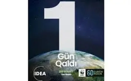 Los Cabos absent as Hora del Planeta roll-call exposes uneven municipal commitments