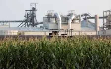 E15: A summer price fix that collides with smog rules—and the costs may not stay at the pump