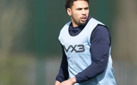 Leinster Vs Scarlets: Scarlets Treat Dublin Visit as a Test-Match Week