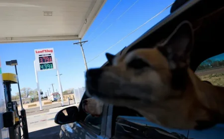 Oil Surge Drives Financial Markets to New 2026 Low – The Washington Post