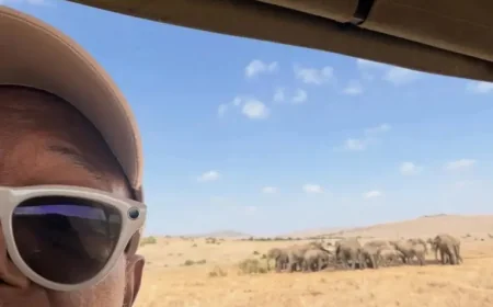 Samuel L Jackson joins urgent push to move Billy and Tina from Tulsa Zoo as advocates warn “time is running out”