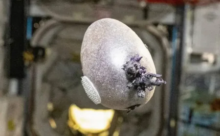 Don Pettit Iss Space Potato Sets Off Viral Space-Photo Frenzy