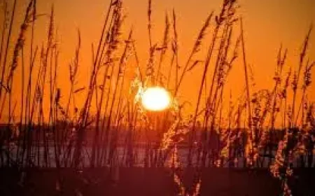 Blackpool Weather: Sunshine Returns Before a Wet, Windy Weekend — 4 Key Shifts to Watch