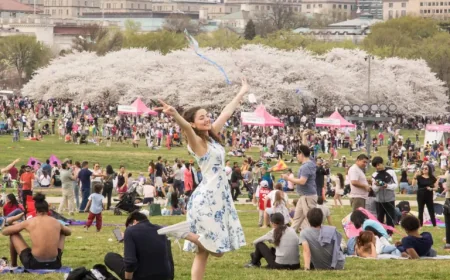 Kite Festival Dc: 3 pressure points shaping peak-bloom weekend choices in Washington