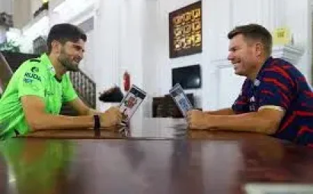 Pakistan Super League: Urdu Commentary Channel Debuts as PSL 11 Airdate Arrives