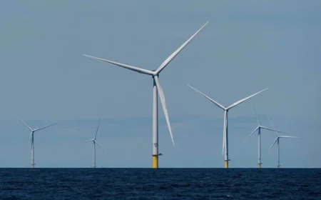 US Compensates TotalEnergies $1 Billion to Halt Wind Farm Plans