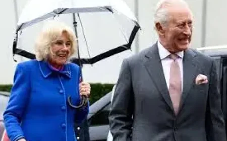 King Charles and Cake Chaos: Unscripted Laughter at Eden Project Reveals a Different Royal Rhythm