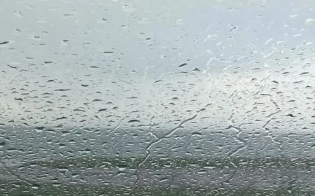 Leigh weekend forecast: 3-day swing from wet dawn to gusty showers