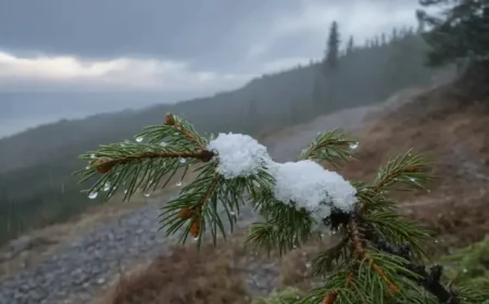 Holnapi Időjárás: 15 cm of Snow Possible in the Bakony as Warnings Multiply