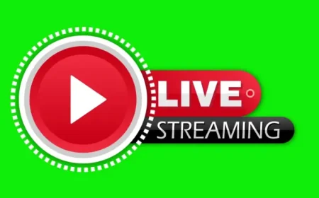 Montenegro in focus after Andorra vs Montenegro live-stream claims resurface