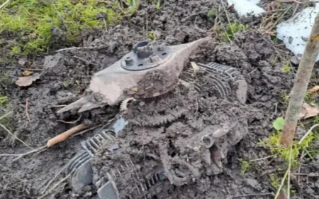 Estonia Drone Incidents Reveal Gaps in Baltic Air Defences