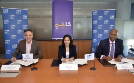 Ifc and Cashi Bring Digital Payments to Chad: What the New Partnership Means for Small Businesses