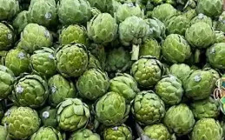 Uf headline pages met with browser‑support warning as site urges upgrades