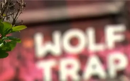 Lizzo Headlines Wolf Trap Summer Line-up as Season Approaches