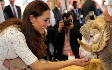 Everything you need to know about the 2026 Sydney Royal Easter Show