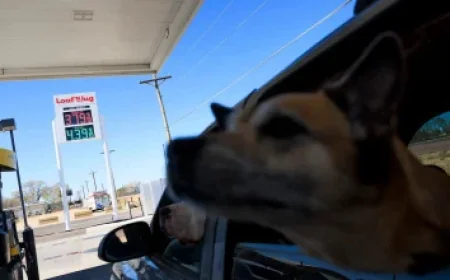 SoftBank’s $40B Loan Signals a 2026 OpenAI IPO