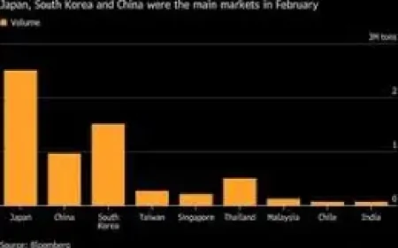 Australia Cyclone Red Sky: 3 Port Realities Expose Strain on Global LNG Flows