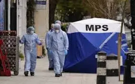 Camden: Police hunt gunman after man shot dead in car near Euston station