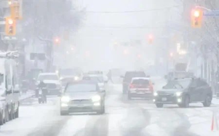 Snow Plowing: Toronto’s flawed awarding of snow contracts and the human toll